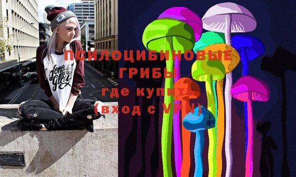 ПСИЛОЦИБИНОВЫЕ ГРИБЫ Алексин