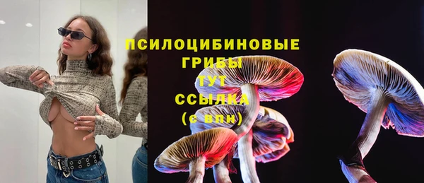 амф Алзамай