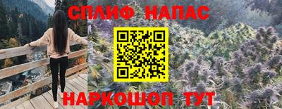 стаф Абинск