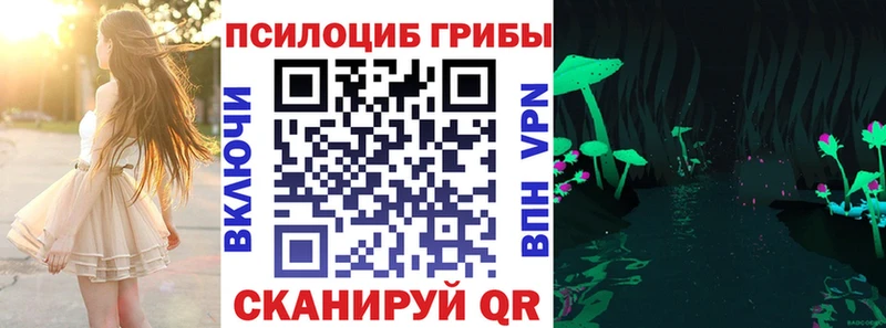 Псилоцибиновые грибы мухоморы  где купить наркоту  Алушта 